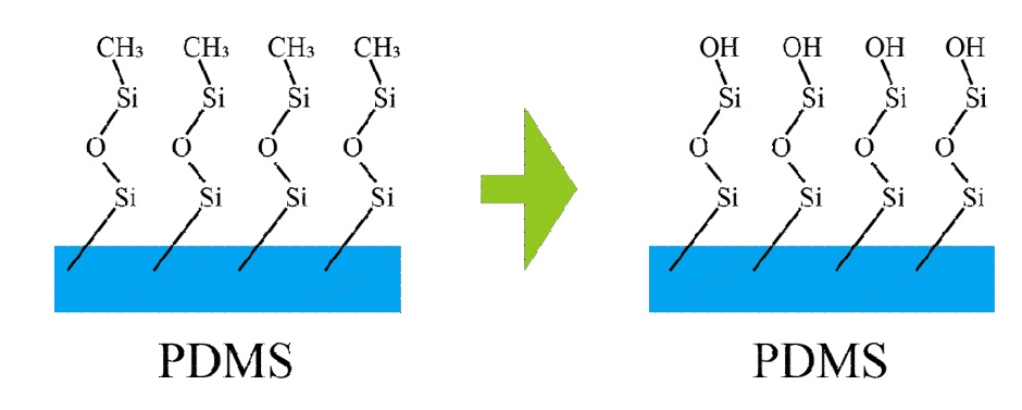 图1.1 PDMS 等离子表面处理