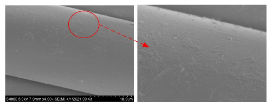 等离子刻蚀作用后的芳纶纤维表面形貌